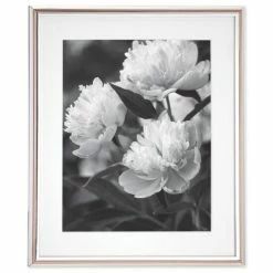 Best reviews of 🧨 Kate Spade New York Rosy Glow 8 X 10 Frame No Color 🔔